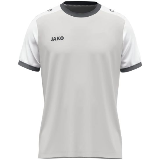 Afbeeldingen van Shirt Dynamic KM lichtgrijs/wit/grijs